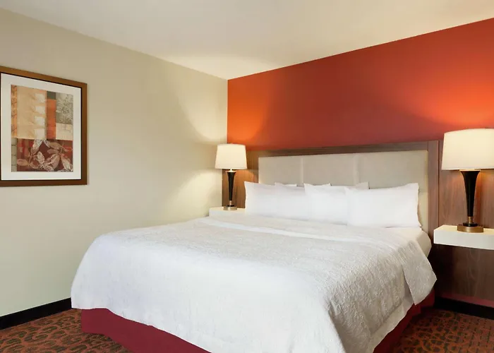 Hampton Inn Wichita Falls-Sikes Senter Mall